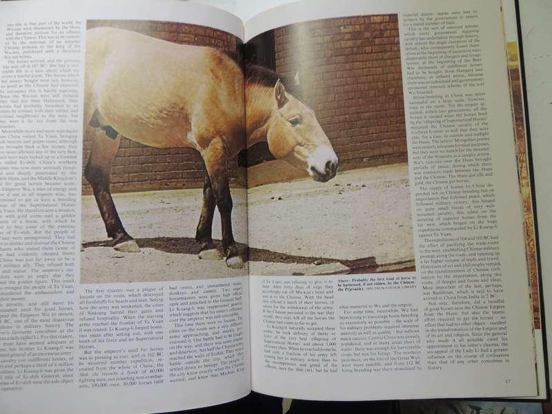 The Horse at War - Ed Michael Seth-Smith