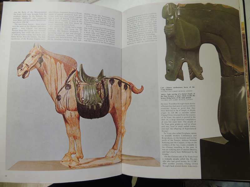 The Horse at War - Ed Michael Seth-Smith