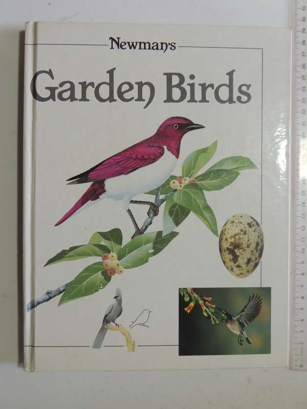 Newman's Garden Birds - Kenneth Newman