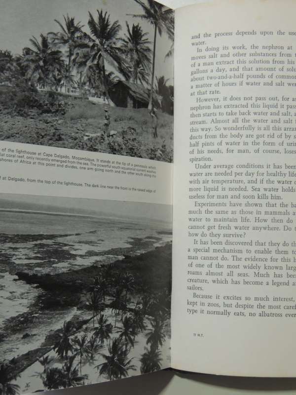 High Tide - Professor J.L.B. Smith