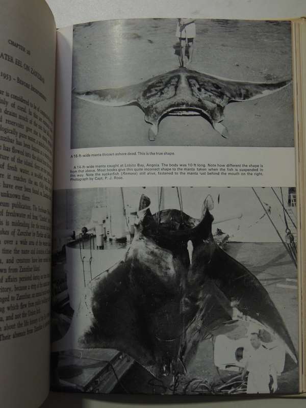 High Tide - Professor J.L.B. Smith