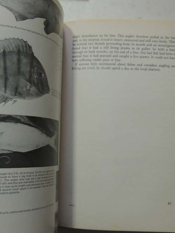 High Tide - Professor J.L.B. Smith