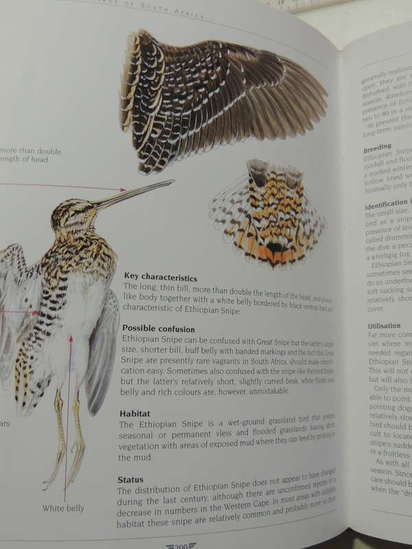 AGRED'S Gamebirds of South Africa, Field Identification & Management - PJ Viljoen