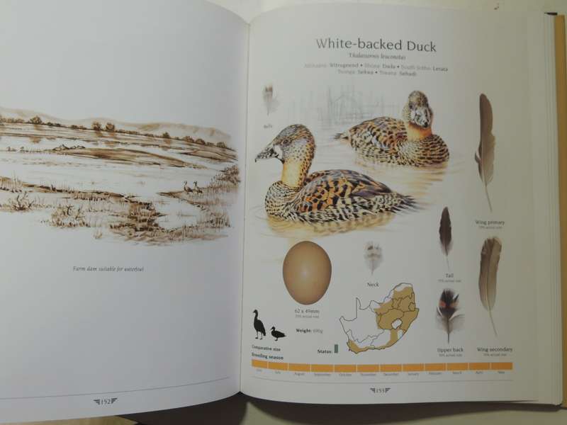 AGRED'S Gamebirds of South Africa, Field Identification & Management - PJ Viljoen