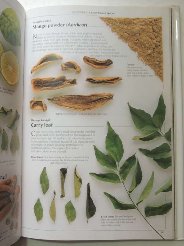 The Complete Book of Herbs and Spices - Lesley Bremnes, Jill Norman