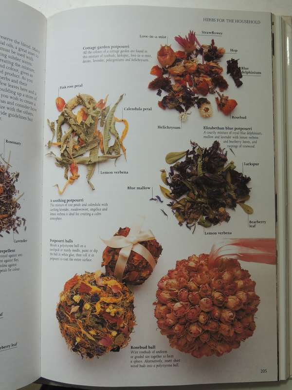 The Complete Book of Herbs and Spices - Lesley Bremnes, Jill Norman