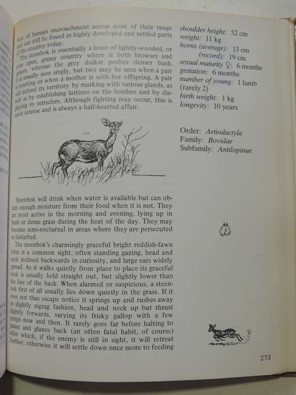 Maberly's Mammals Of Southern Africa - Richard Goss