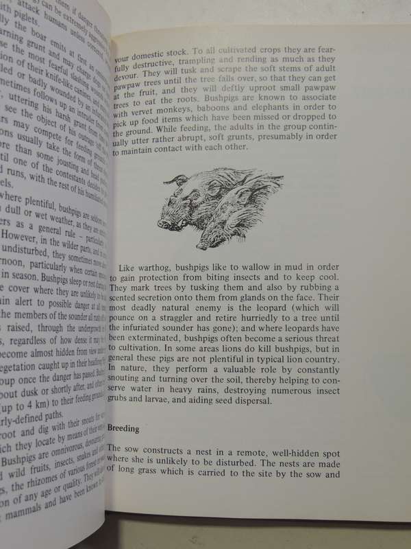Maberly's Mammals Of Southern Africa - Richard Goss
