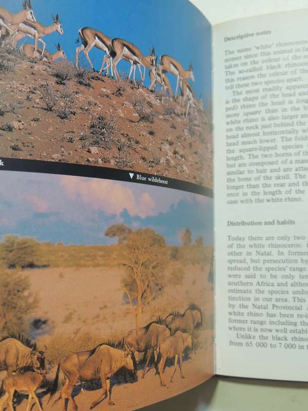 Maberly's Mammals Of Southern Africa - Richard Goss
