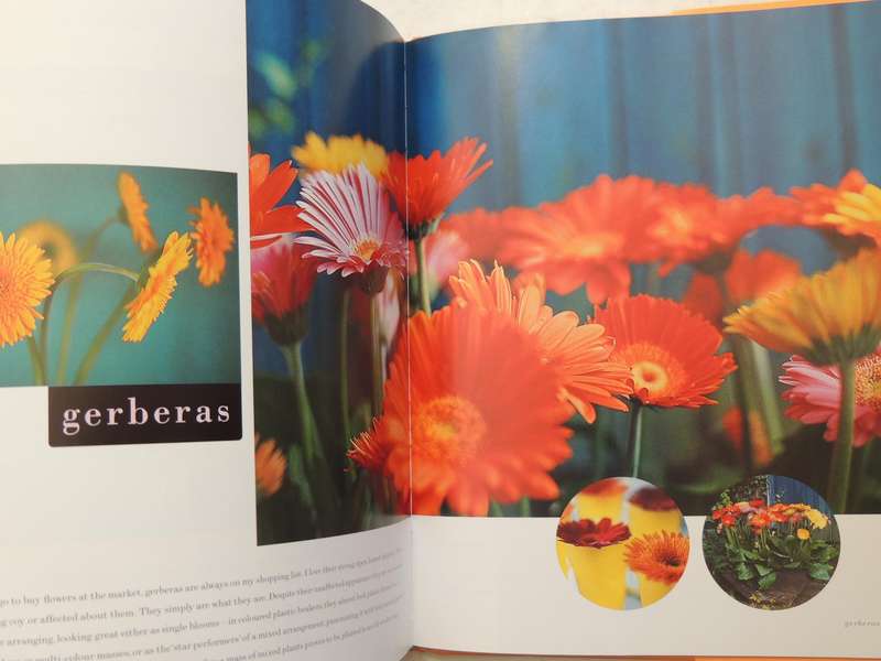 Flower Power: A Colourful New Approach To Flower Arranging - Stephen Woodhams