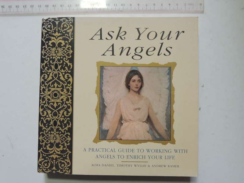 Ask Your Angels, A Practical Guide to Working with Your Angels to Enrich your Life - Alma Daniel