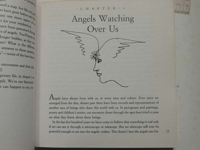 Ask Your Angels, A Practical Guide to Working with Your Angels to Enrich your Life - Alma Daniel