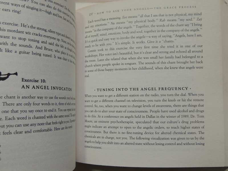 Ask Your Angels, A Practical Guide to Working with Your Angels to Enrich your Life - Alma Daniel