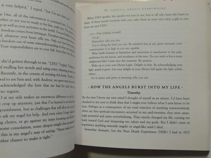 Ask Your Angels, A Practical Guide to Working with Your Angels to Enrich your Life - Alma Daniel
