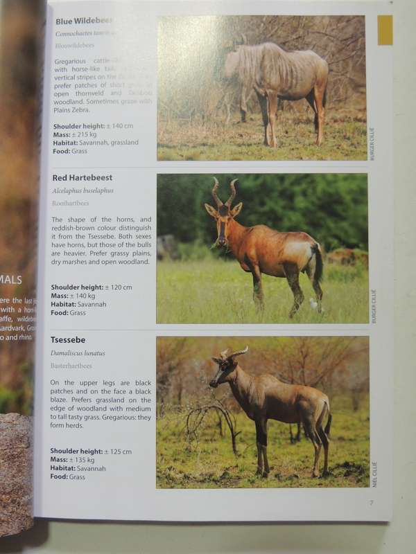 Animals Of The Pilanesberg- Burger Cillie & Niel Cillie