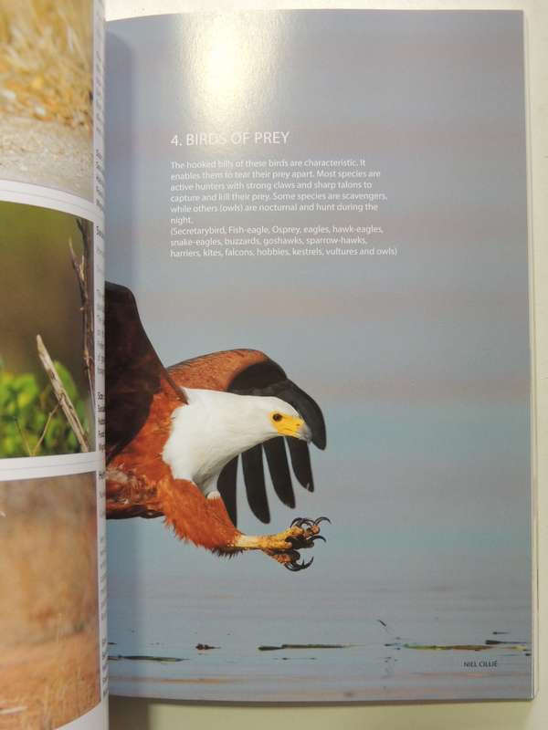 Animals Of The Pilanesberg- Burger Cillie & Niel Cillie