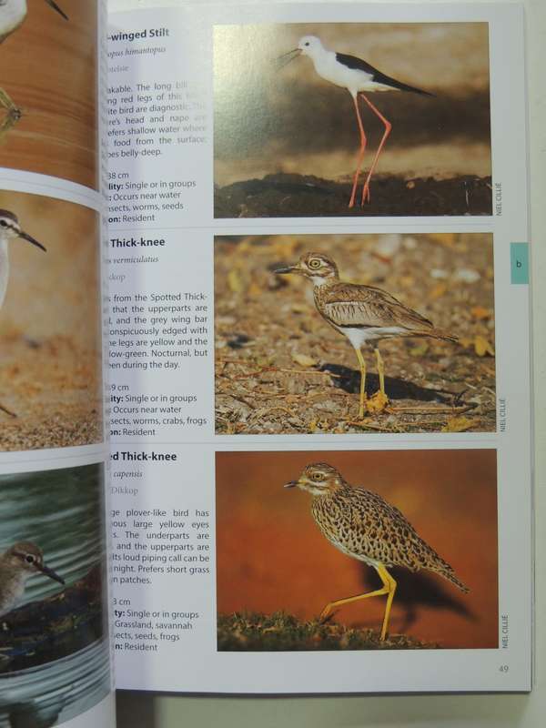 Animals Of The Pilanesberg- Burger Cillie & Niel Cillie