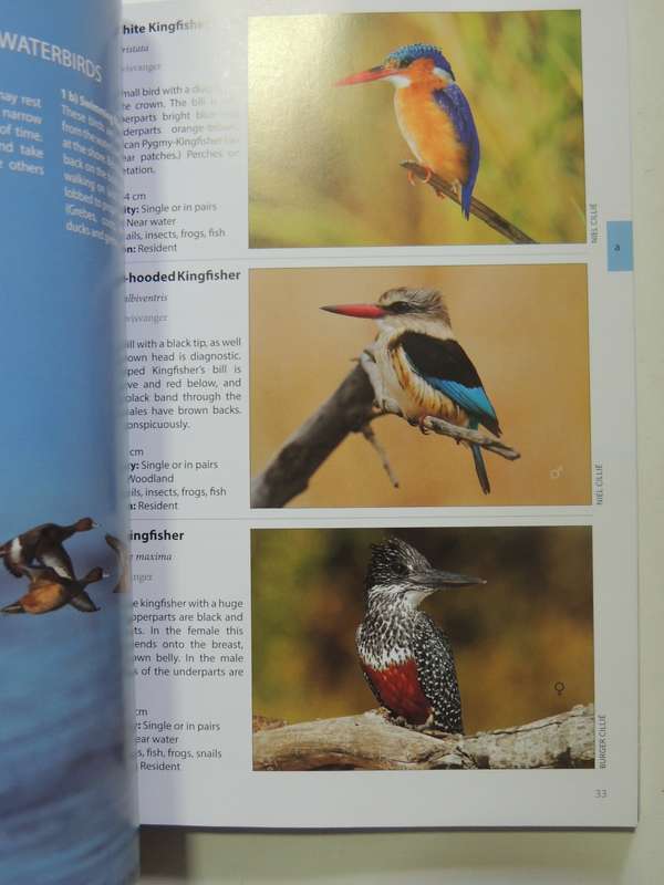 Animals Of The Pilanesberg- Burger Cillie & Niel Cillie