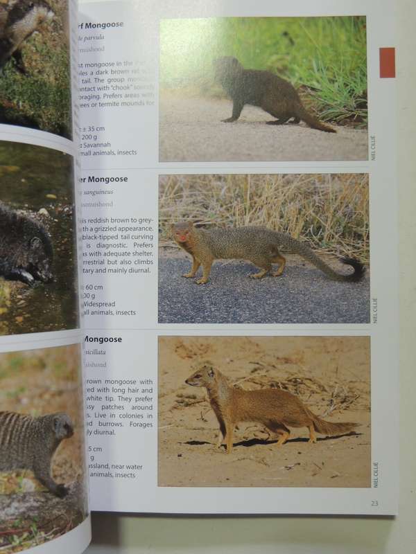 Animals Of The Pilanesberg- Burger Cillie & Niel Cillie
