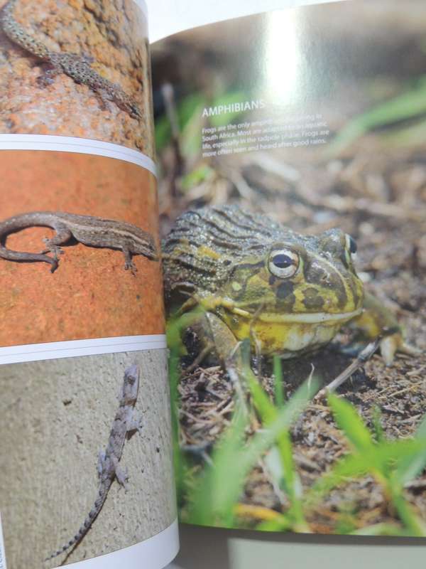 Animals Of The Pilanesberg- Burger Cillie & Niel Cillie