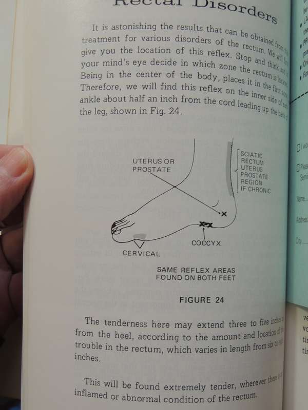 Stories The Feet Can Tell Thru Reflexology - Eunice D. Ingham