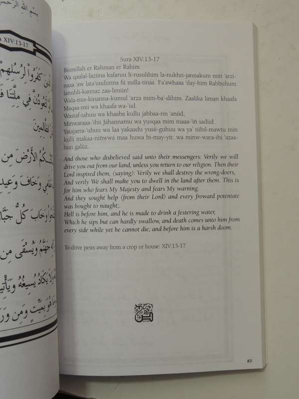 Alternative Healing, The Sufi Way- Es-Seyyid Es- Shaykh Taner Ansari