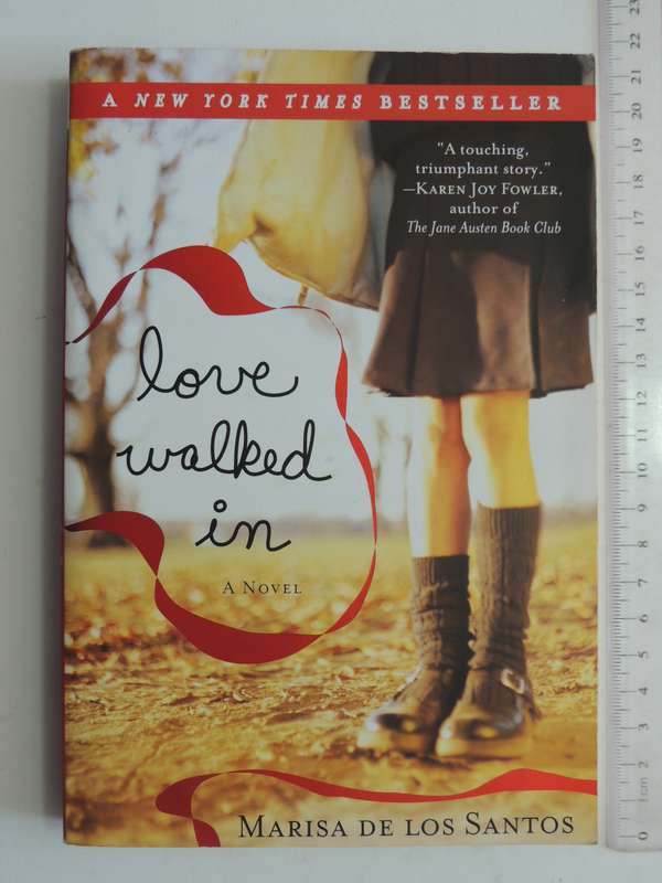 Love Walked In- Marisa De Los Santos