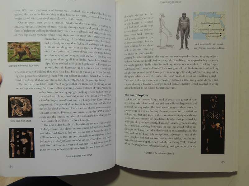 Human Origins, How Diet, Climate, & Landscape Shaped Us - John S Compton