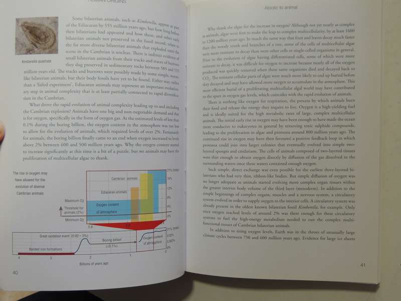Human Origins, How Diet, Climate, & Landscape Shaped Us - John S Compton
