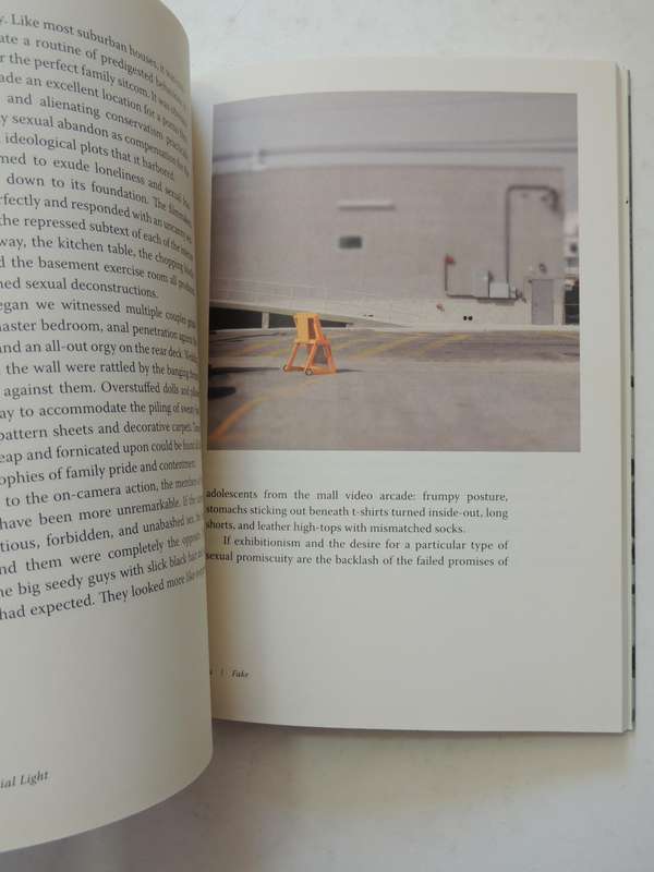 Artificial Light: A Narrative Inquiry Into The Nature Of Abstraction, Immediacy, ...Keith Mitnick