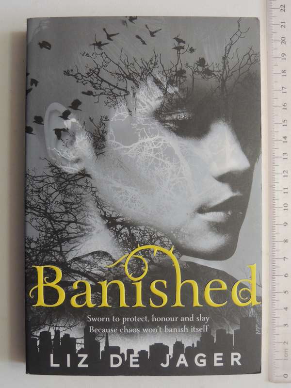 Banished - The Blackhart Legacy: Book One - Liz De Jager