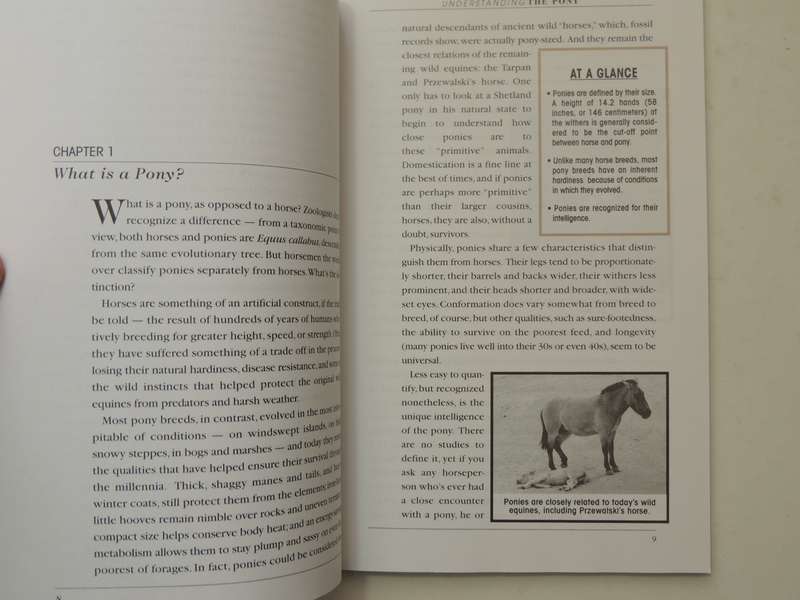 Understanding The Pony: Your Guide To Horse Health Care And Management - Karen Briggs