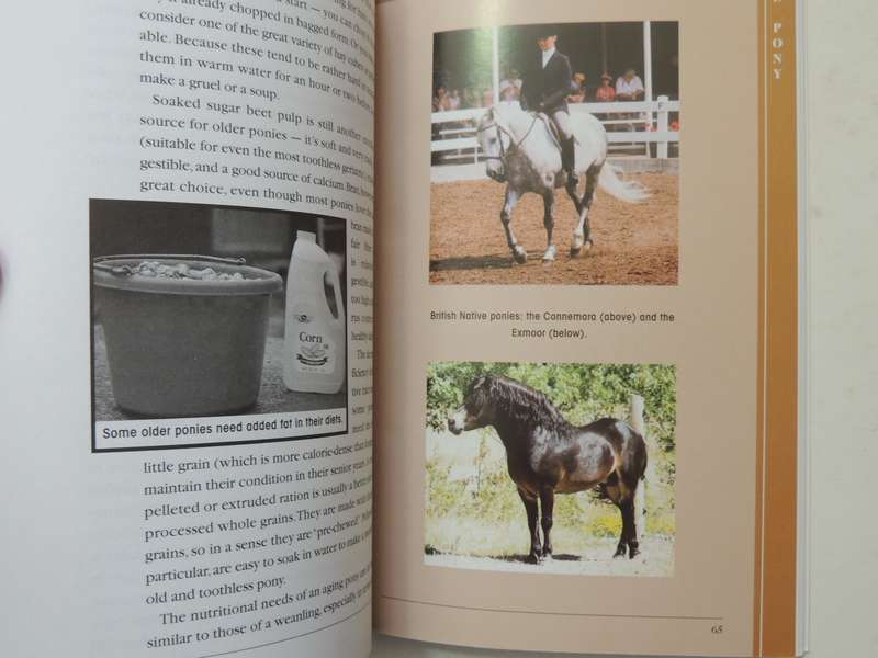 Understanding The Pony: Your Guide To Horse Health Care And Management - Karen Briggs