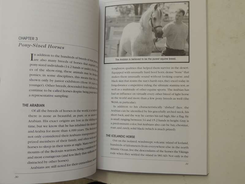 Understanding The Pony: Your Guide To Horse Health Care And Management - Karen Briggs