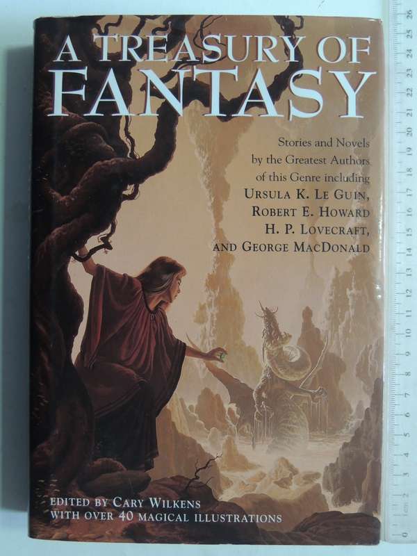 A Treasury of Fantasy, Stories and Novels by the Greatest Authors of this Genre