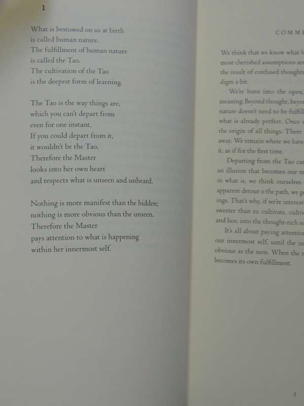 The Second Book of the Tao - Stephen Mitchell