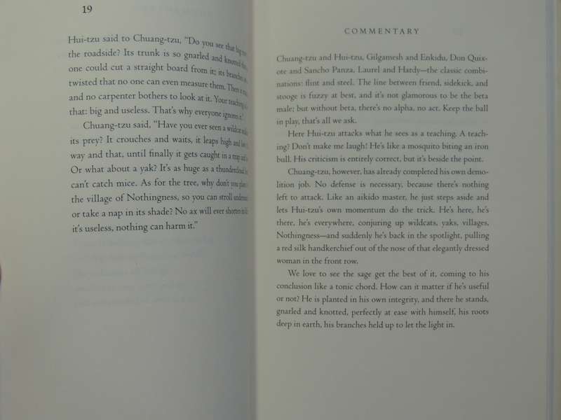 The Second Book of the Tao - Stephen Mitchell