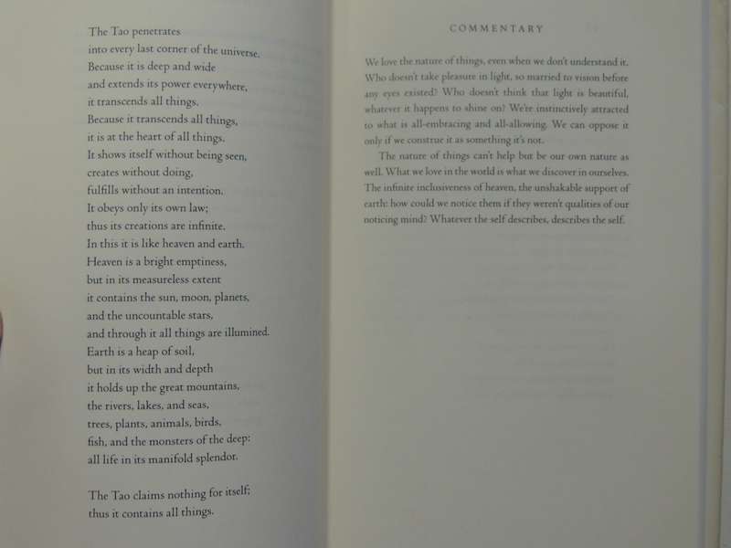 The Second Book of the Tao - Stephen Mitchell