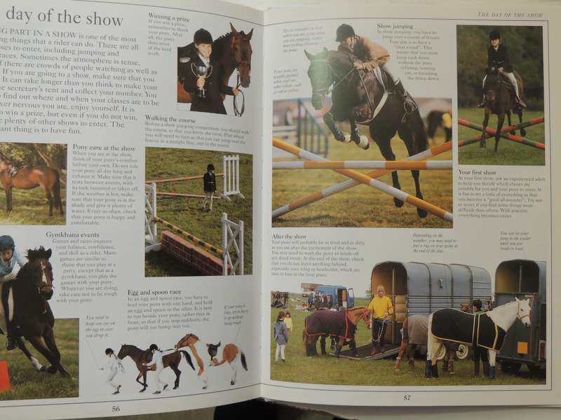 The Young Rider: A Young Enthusiast's Guide To Riding - Lucinda Green