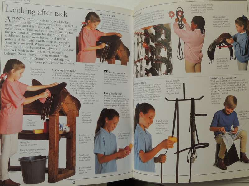 The Young Rider: A Young Enthusiast's Guide To Riding - Lucinda Green