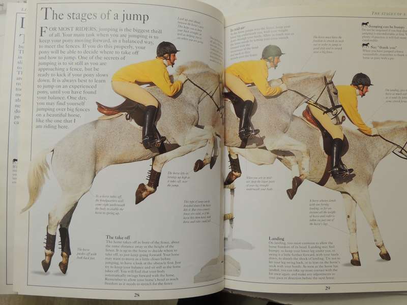 The Young Rider: A Young Enthusiast's Guide To Riding - Lucinda Green