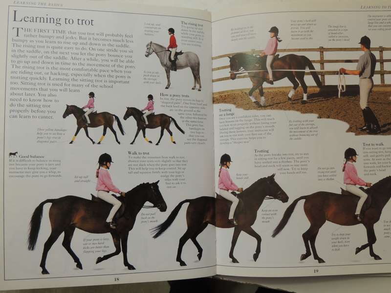 The Young Rider: A Young Enthusiast's Guide To Riding - Lucinda Green