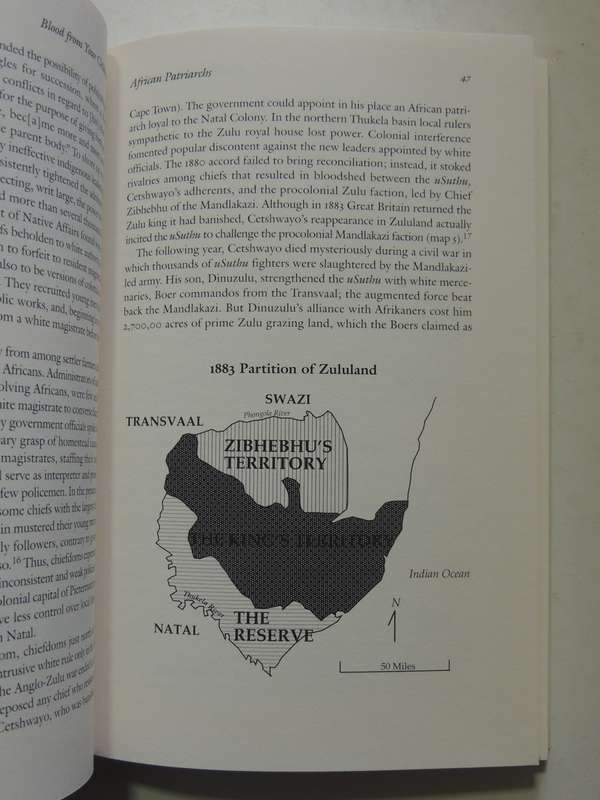 Blood From Your Children: The Colonial Origins Of Generational Conflict In S Africa -Benedict Carton