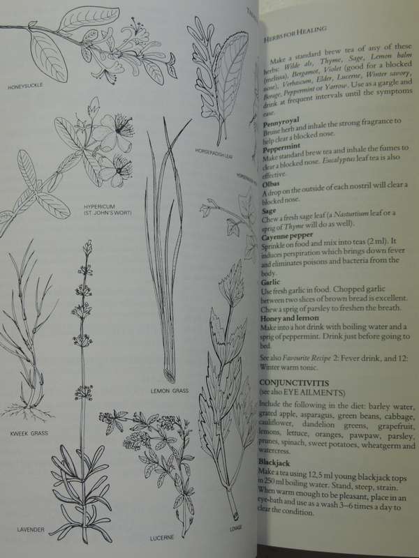 Treasury of Herbs - Margaret Roberts