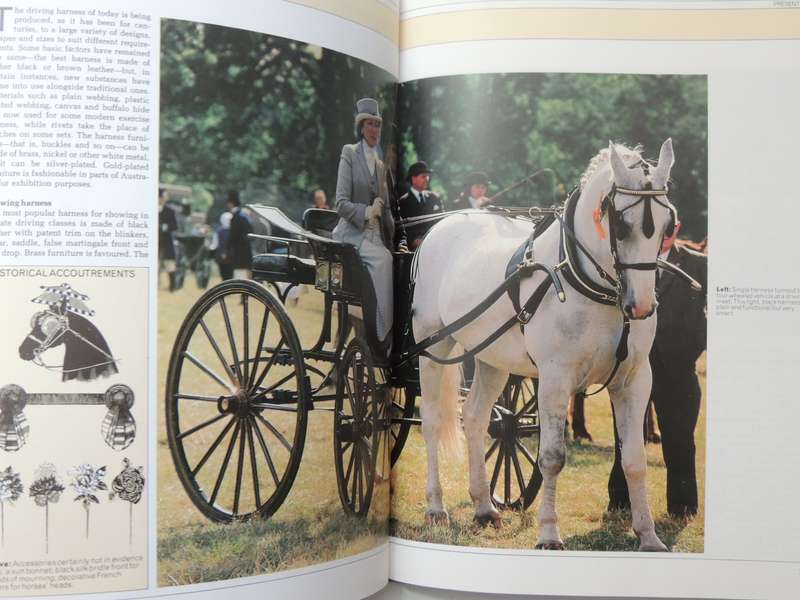 The Country Life Book Of Saddlery And Equipment - ed Elwyn Hartley-Edwards