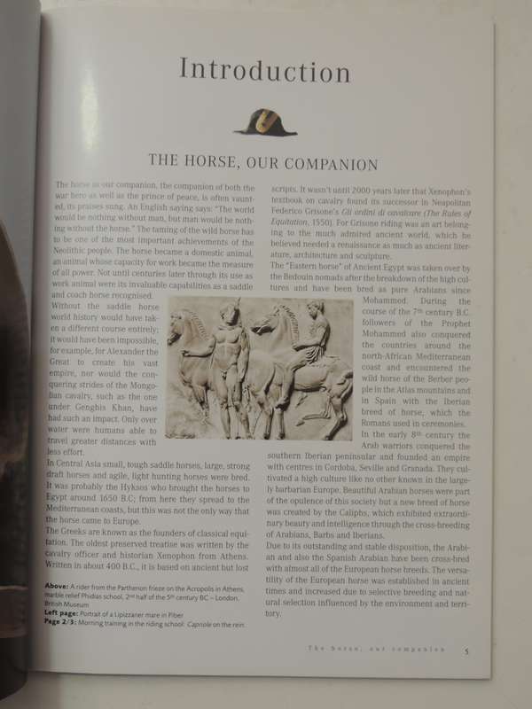 The Lipizzans: Spanish Riding School & Lipizzan Museum - Georg Kruger