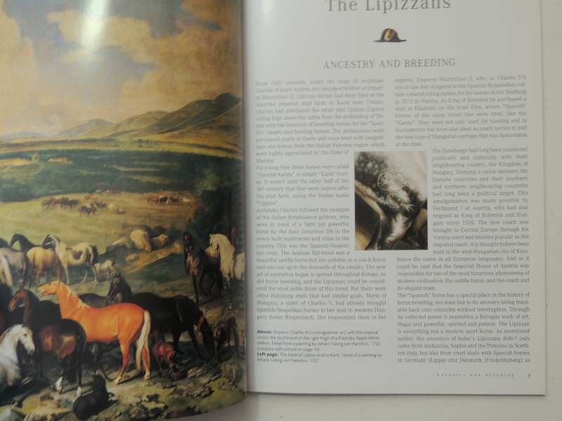 The Lipizzans: Spanish Riding School & Lipizzan Museum - Georg Kruger