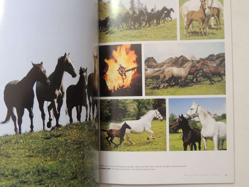 The Lipizzans: Spanish Riding School & Lipizzan Museum - Georg Kruger