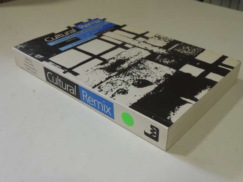 Cultural Remix: Theories Of Politics And The Popular - ed Erica Carter, James Donald, Judith Squires