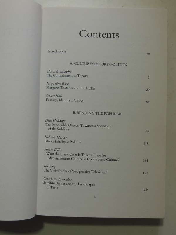 Cultural Remix: Theories Of Politics And The Popular - ed Erica Carter, James Donald, Judith Squires